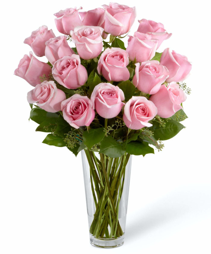 24 Pink Roses