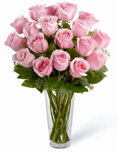 12 Pink Roses